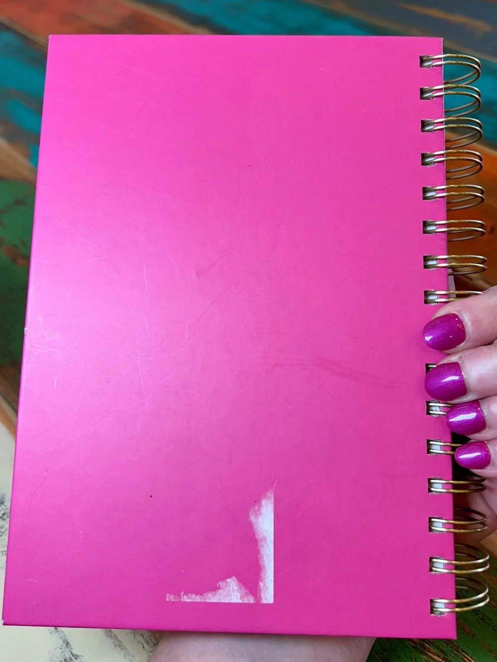 Let's Go Girls! Pink Spiral Notebook NWOT